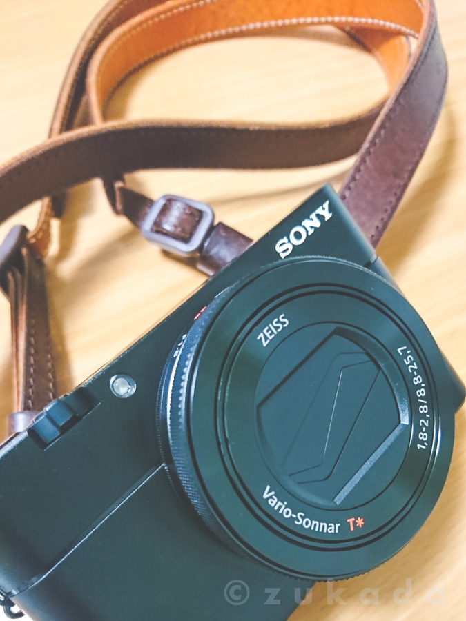 Sony RX100 V 購入 | ずかだ雑記帳